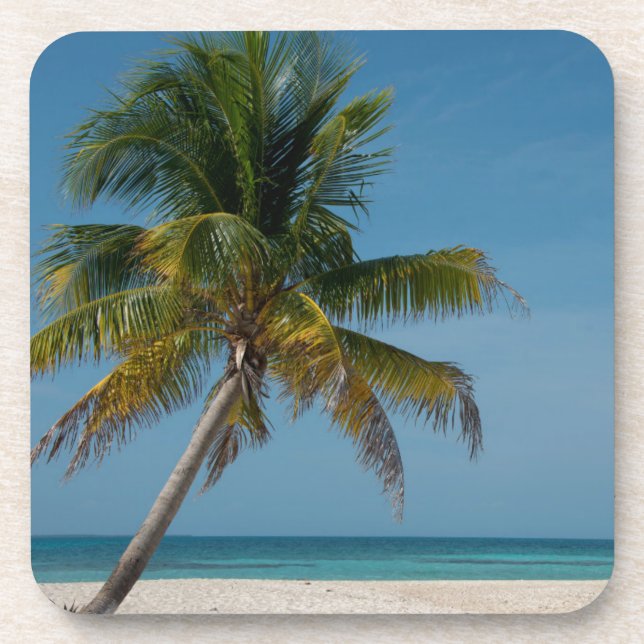 Dessous-de-verre Palmier et plage de sable blanc  2 (Devant)