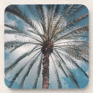 Dessous-de-verre Palmier tropical -