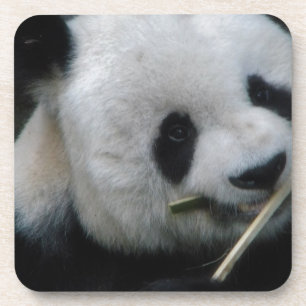 Dessous-de-verre Panda