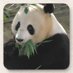 Dessous-de-verre Panda Bear Hugs