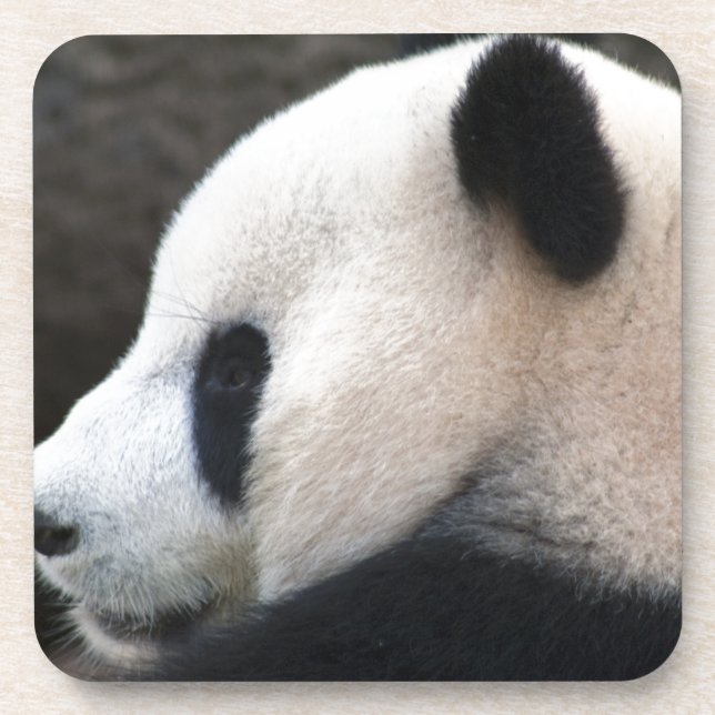 Dessous-de-verre Panda Bear Hugs (Devant)