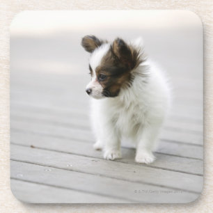 Dessous-de-verre Papillon