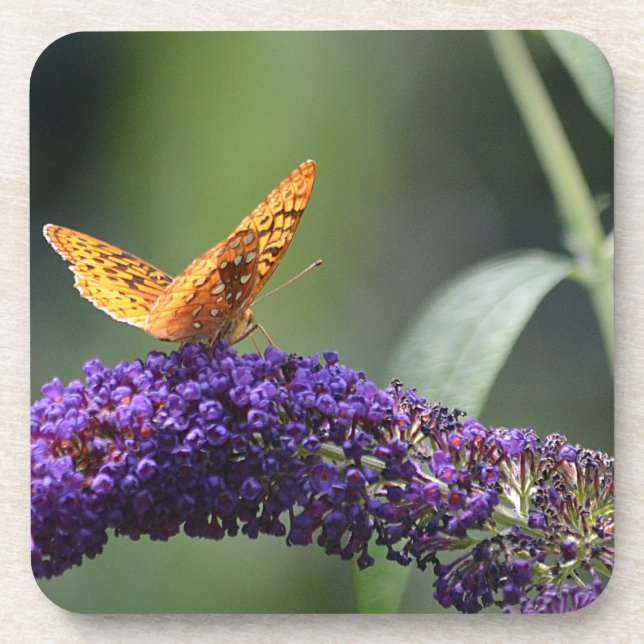 Dessous de verre papillon (Devant)