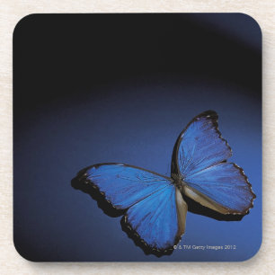 Dessous-de-verre Papillon bleu