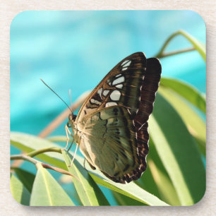 Dessous-de-verre Papillon Brun Ailes Fermées