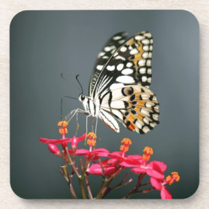 Dessous-de-verre Papillon noir et jaune blanc sur Fleurs roses