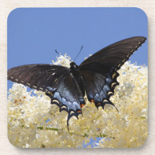 Dessous-de-verre Papillon Sur Fleurs Blanches