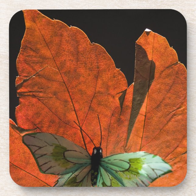 Dessous-de-verre Papillon sur la feuille 2 (Devant)