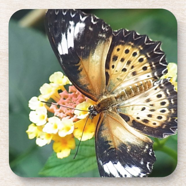 Dessous-de-verre Papillon tacheté noir et jaune (Devant)