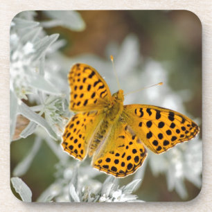 Dessous-de-verre Papillon tacheté orange et noir