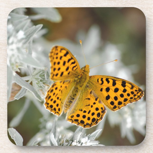 Dessous-de-verre Papillon tacheté orange et noir (Devant)