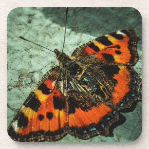 Dessous-de-verre Papillon tortue anniversaire Grunge