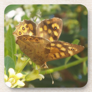 Dessous de verre papillons