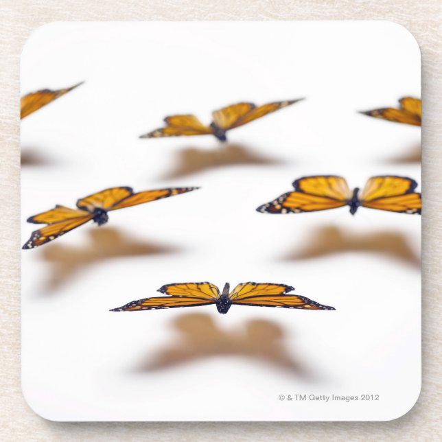 Dessous-de-verre Papillons de monarque (Devant)