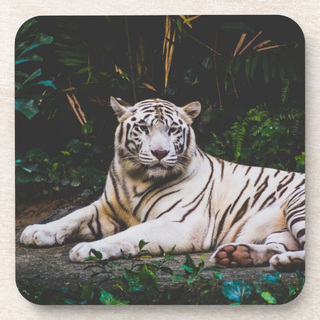 Dessous-de-verre Pâque à boisson tigre (Devant)