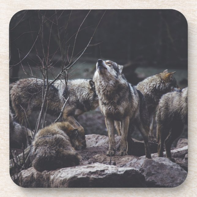 Dessous-de-verre Paquet de boisson Wolf Pack (Devant)