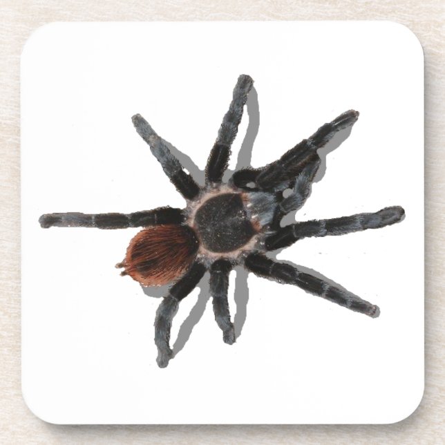 Dessous-de-verre Parasites d'araignée d'animal familier de coark de (Devant)