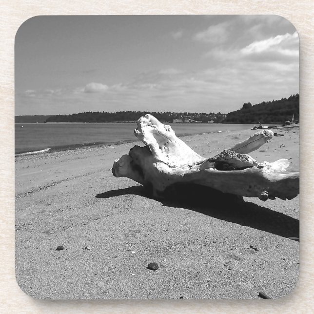 Dessous-de-verre Parc de découverte Driftwood (Devant)