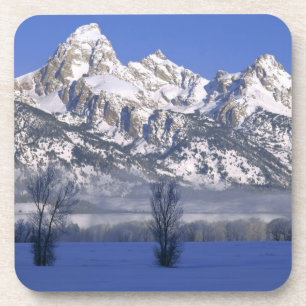 Dessous-de-verre PARC NATIONAL GRAND TETON, WYOMING. USA. Brouillar
