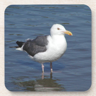 Dessous de verre pataugeants courageux de mouette