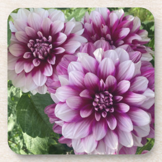 Dessous-de-verre Patches Dahlia, Superbe Fleur Violet
