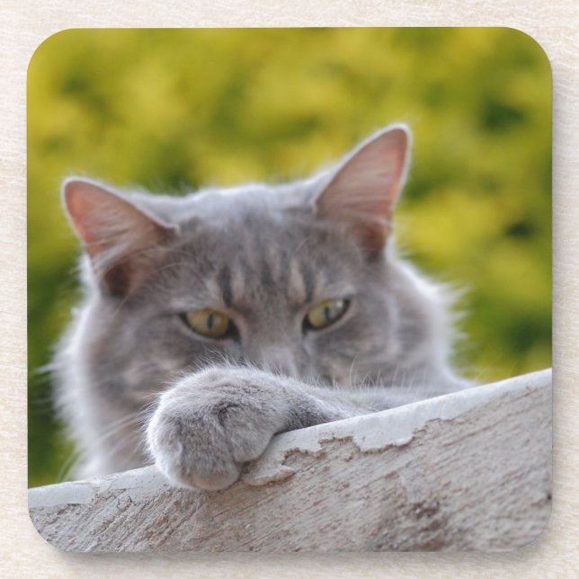 Dessous-de-verre Patte de chat gris (Devant)