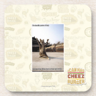 Dessous-de-verre Pattes de shaolin de l'iz I de fureur