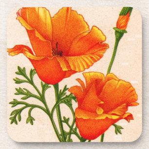 Dessous-de-verre Pavot de Californie Pavot de Californie orange