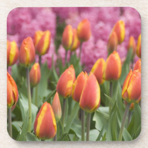 Dessous-de-verre Pays-Bas (aussi appelé Hollande), Lisse. Keukenhof