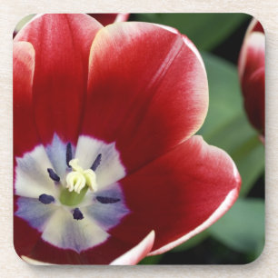 Dessous-de-verre Pays-Bas (aussi appelé Hollande), Lisse. Keukenhof