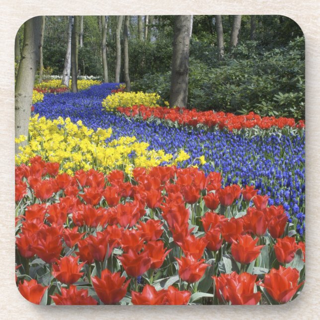 Dessous-de-verre Pays-Bas, Hollande, Lisse, Keukenhof Gardens (Devant)