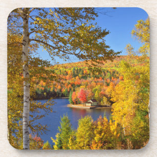 Dessous-de-verre Paysage d'arbres en automne, Maine