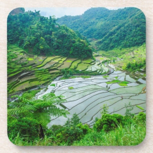 Dessous-de-verre Paysage de rizières, Philippines