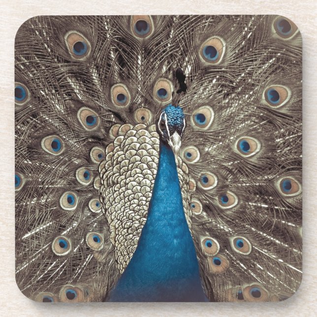 Dessous-de-verre Peacock bleu antique (Devant)