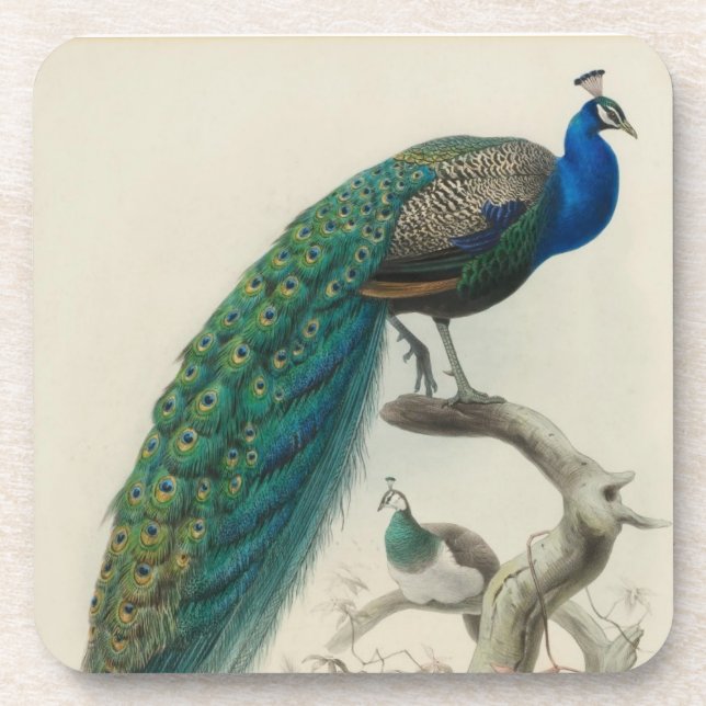 Dessous-de-verre Peacock vintage (Devant)