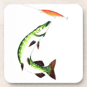 Dessous-de-verre Pêche au brochet et pêche à la mouche