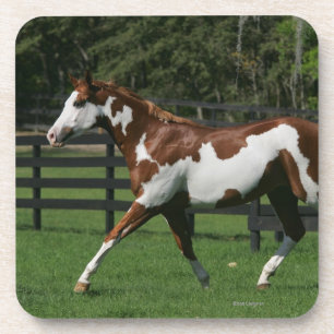 Dessous-de-verre Peignez le cheval courant 1
