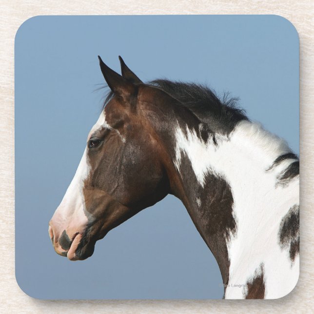 Dessous-de-verre Peignez le Headshot 1 de cheval (Devant)