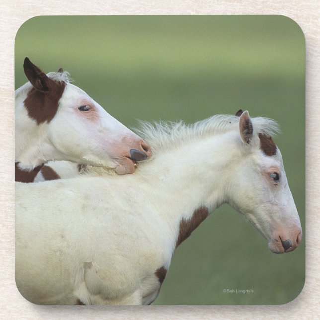 Dessous-de-verre Peignez le jeu de poulains (Devant)