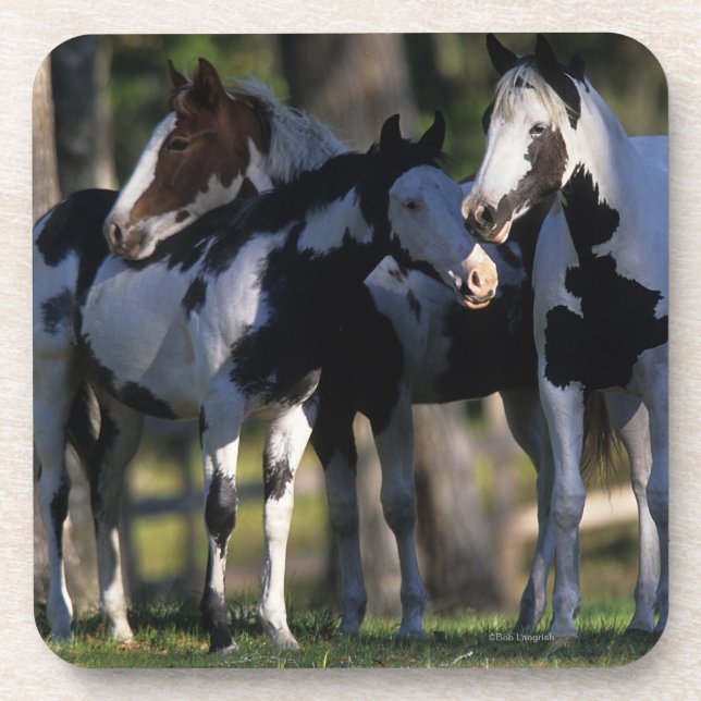 Dessous-de-verre Peignez les chevaux (Devant)