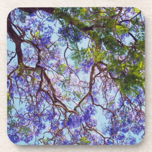 Dessous-de-verre Peinture à l'huile de Jacaranda violet,