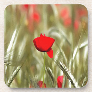 Dessous-de-verre Peinture acrylique Hot Poppy