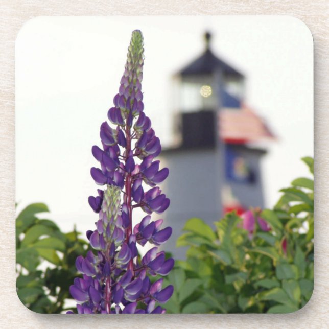 Dessous-de-verre Pemaquid Lupin (Devant)