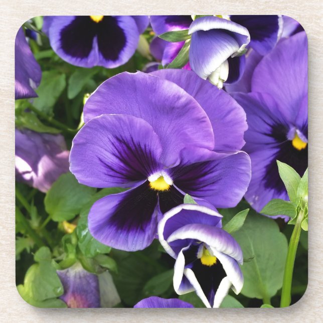 Dessous-de-verre pensées violettes (Devant)