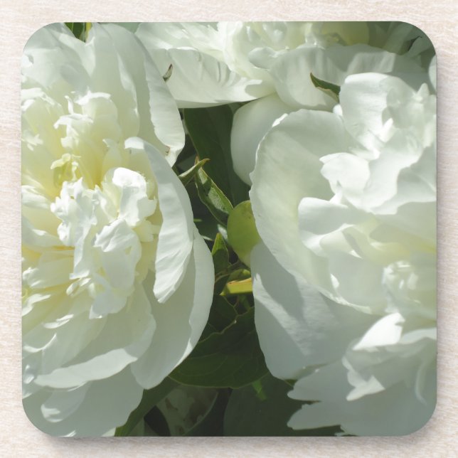 Dessous-de-verre Peonies blanches (Devant)