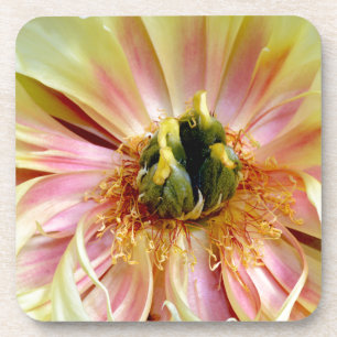 Dessous-de-verre Peony jaune.jpg