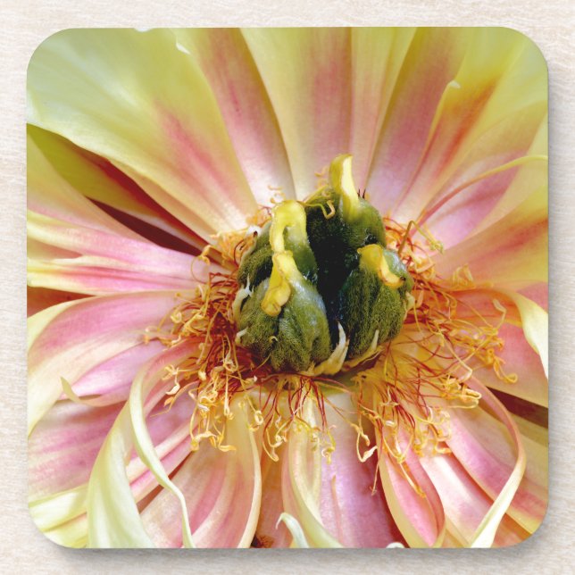 Dessous-de-verre Peony jaune.jpg (Devant)