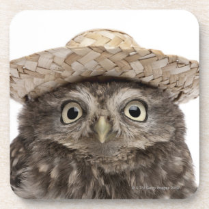 Dessous-de-verre Petit hibou utilisant un chapeau de paille -