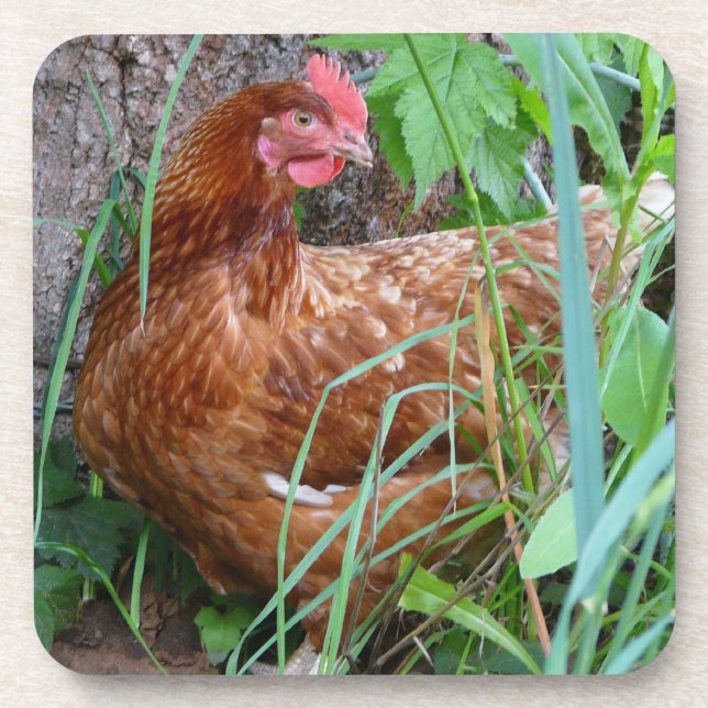 Dessous-de-verre Petite poule rouge dans l'herbe (Devant)