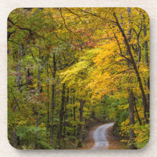 Dessous-de-verre Petite route de gravier bordée de couleurs d'autom